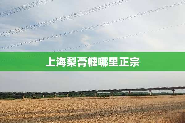 上海梨膏糖哪里正宗