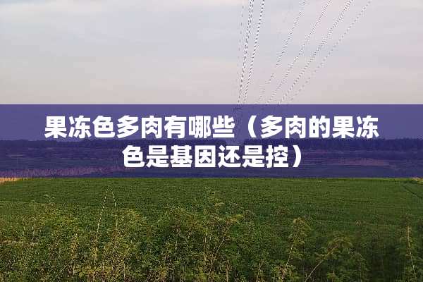 果冻色多肉有哪些（多肉的果冻色是基因还是控）