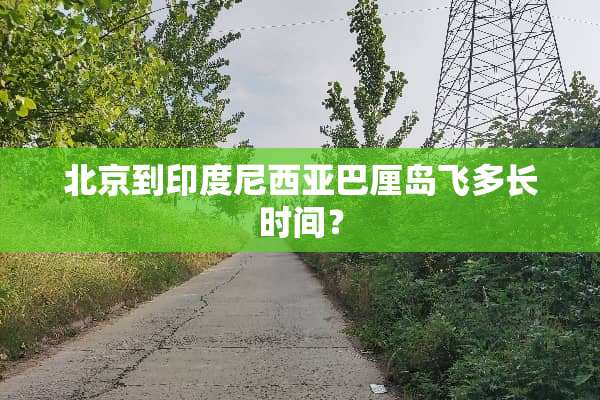 北京到印度尼西亚巴厘岛飞多长时间？