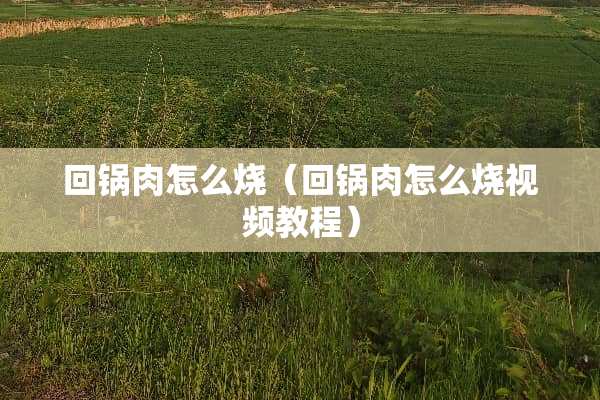 回锅肉怎么烧（回锅肉怎么烧视频教程）