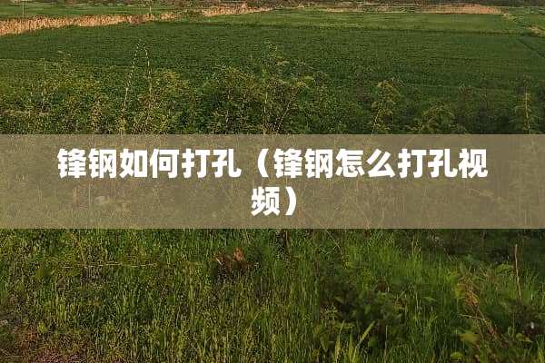 锋钢如何打孔（锋钢怎么打孔视频）
