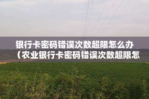 ***密码错误次数超限怎么办（农业***密码错误次数超限怎么办）
