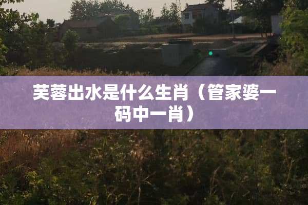 芙蓉出水是什么生肖（管家婆**中**）
