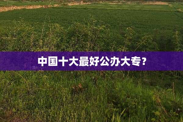 中国十大最好公办大专？