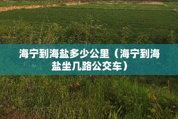 海宁到海盐多少公里（海宁到海盐坐几路公交车）