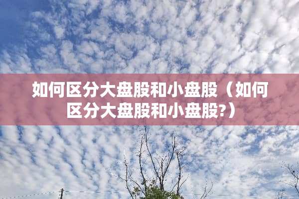 如何区分大盘股和小盘股（如何区分大盘股和小盘股?）