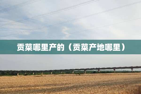 贡菜哪里产的（贡菜产地哪里）