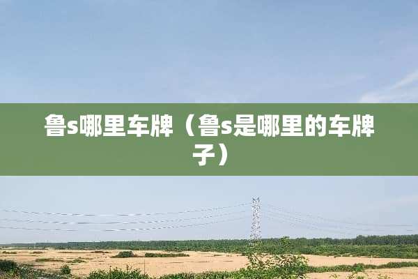 鲁s哪里车牌（鲁s是哪里的车牌子）