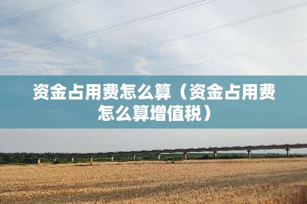 资金占用费怎么算（资金占用费怎么算***）