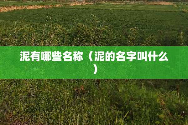 泥有哪些名称（泥的名字叫什么）