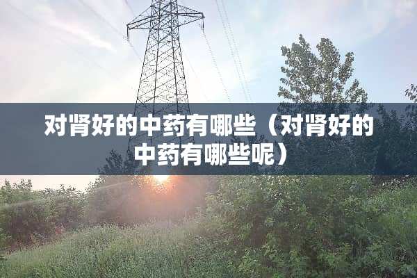 对肾好的中药有哪些（对肾好的中药有哪些呢）