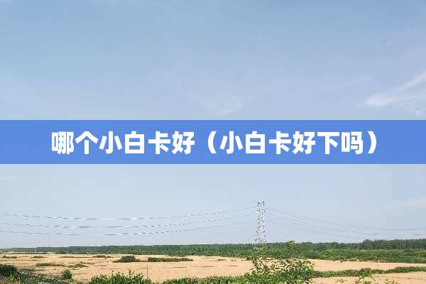 哪个小白卡好（小白卡好下吗）