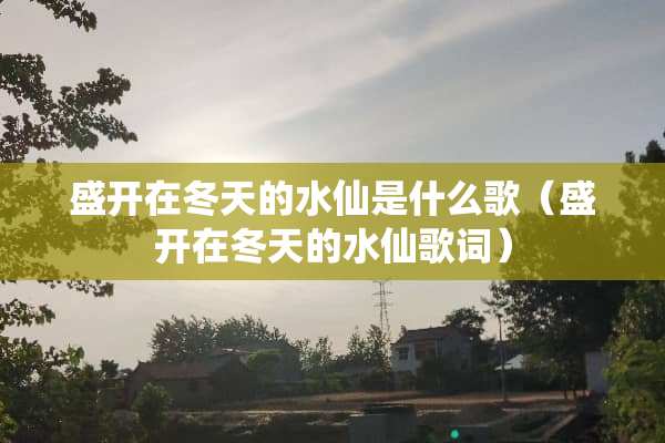 盛开在冬天的水仙是什么歌（盛开在冬天的水仙歌词）