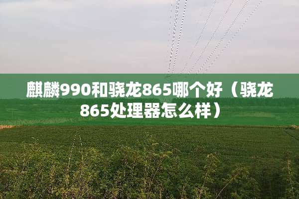 麒麟990和骁龙865哪个好（骁龙865处理器怎么样）