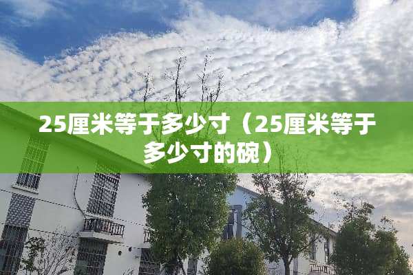 25厘米等于多少寸（25厘米等于多少寸的碗）