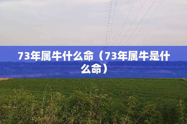 73年属牛什么命（73年属牛是什么命）