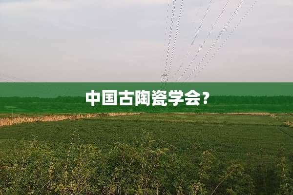 中国古陶瓷学会？
