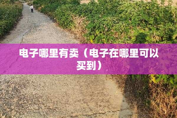 电子哪里有卖（电子在哪里可以买到）