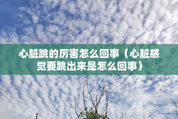 心脏跳的厉害怎么回事（心脏感觉要跳出来是怎么回事）