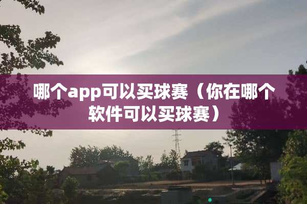 哪个app可以买球赛（你在哪个软件可以买球赛）