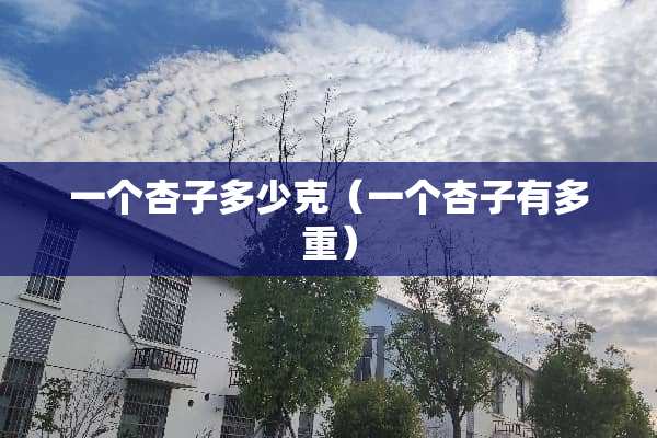 一个杏子多少克（一个杏子有多重）