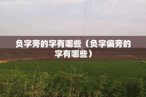 负字旁的字有哪些（负字偏旁的字有哪些）