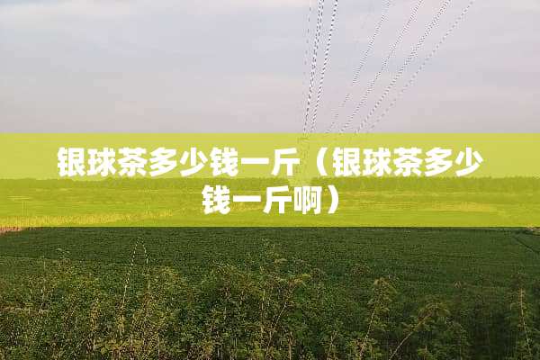 银球茶多少钱一斤（银球茶多少钱一斤啊）