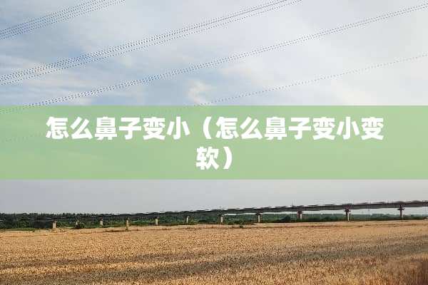 怎么鼻子变小（怎么鼻子变小变软）