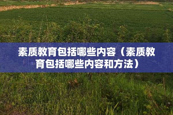 素质教育包括哪些内容（素质教育包括哪些内容和方法）