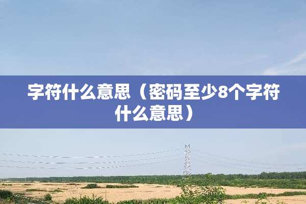 字符什么意思（密码至少8个字符什么意思）