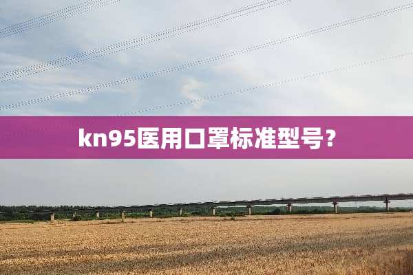 kn95医用口罩标准型号？