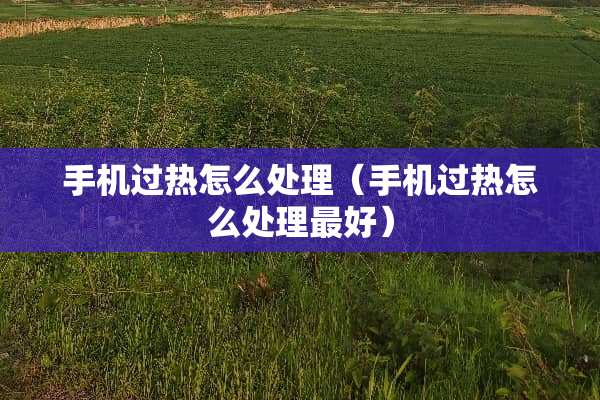 手机过热怎么处理（手机过热怎么处理最好）