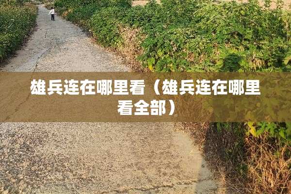 雄兵连在哪里看（雄兵连在哪里看全部）