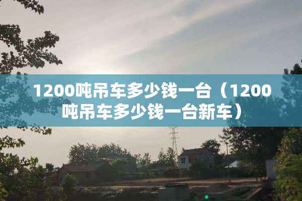 1200吨吊车多少钱一台（1200吨吊车多少钱一台新车）