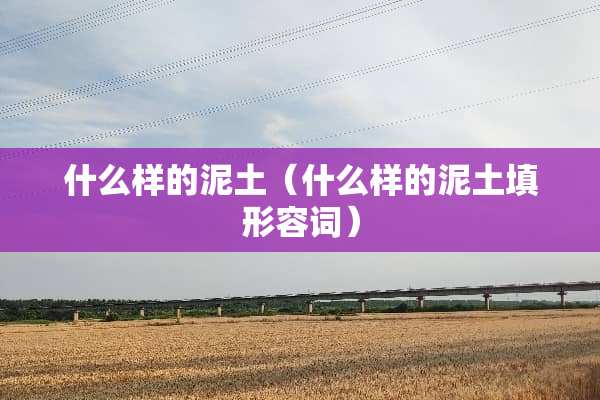 什么样的泥土（什么样的泥土填形容词）
