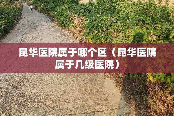 昆华医院属于哪个区（昆华医院属于几级医院）