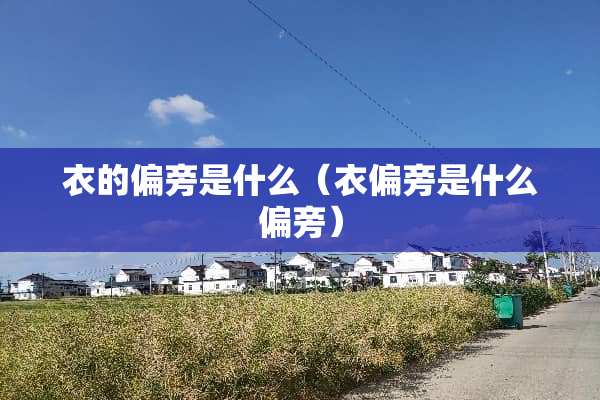 衣的偏旁是什么（衣偏旁是什么偏旁）