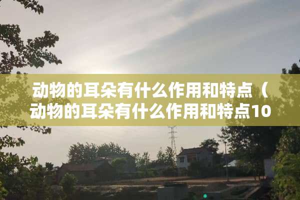 动物的耳朵有什么作用和特点（动物的耳朵有什么作用和特点100）