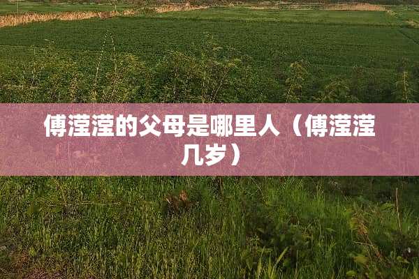 傅滢滢的父母是哪里人（傅滢滢几岁）