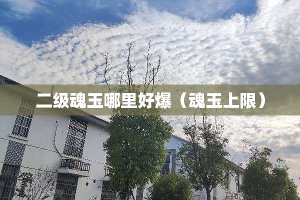 二级魂玉哪里好爆（魂玉上限）
