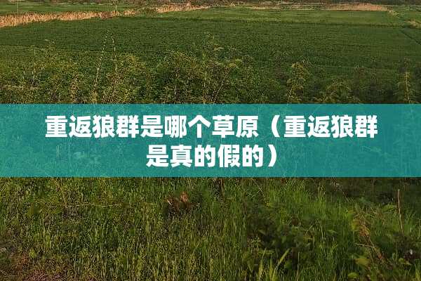 重返狼群是哪个草原（重返狼群是真的假的）