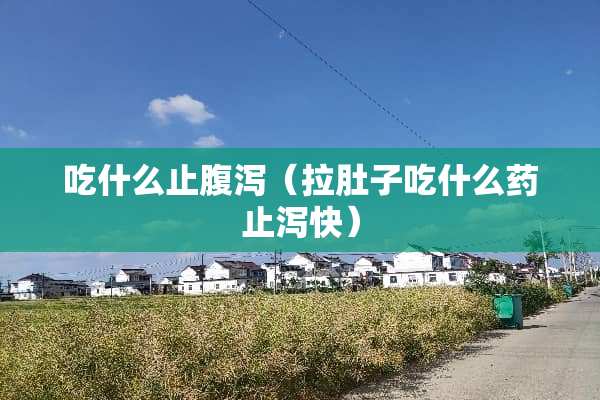 吃什么止腹泻（拉肚子吃什么药止泻快）