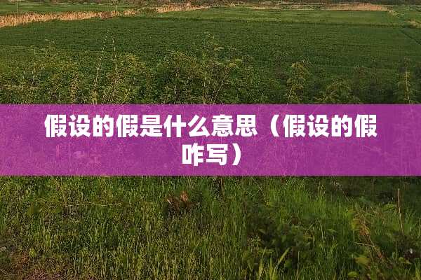 假设的假是什么意思（假设的假咋写）