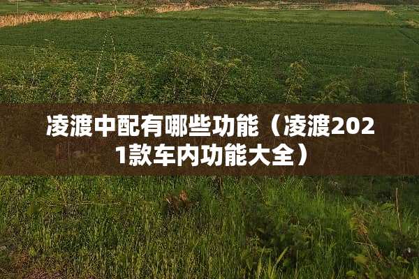 凌渡中配有哪些功能（凌渡2021款车内功能大全）