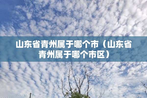 山东省青州属于哪个市（山东省青州属于哪个市区）