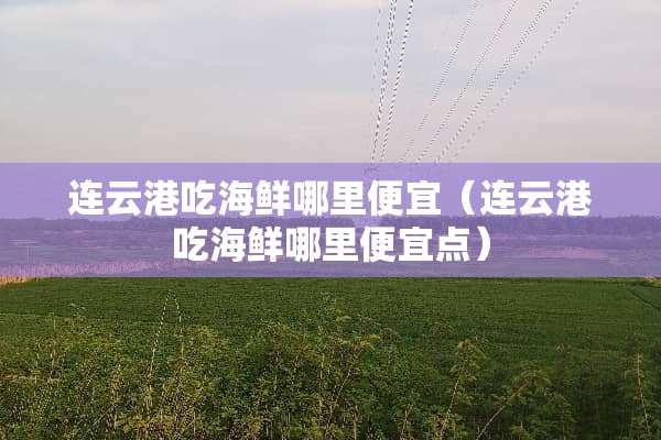 连云港吃海鲜哪里便宜（连云港吃海鲜哪里便宜点）