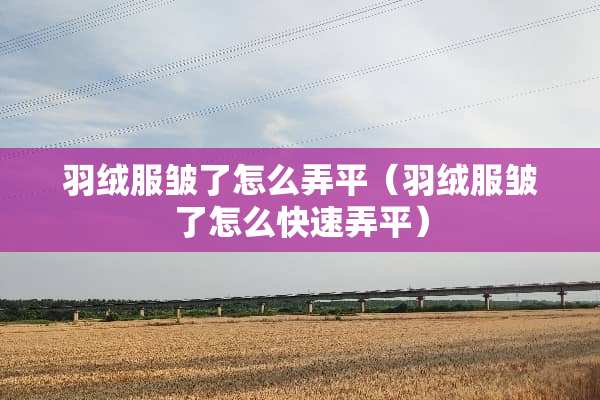 羽绒服皱了怎么弄平（羽绒服皱了怎么快速弄平）