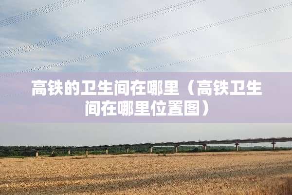 高铁的卫生间在哪里（高铁卫生间在哪里位置图）