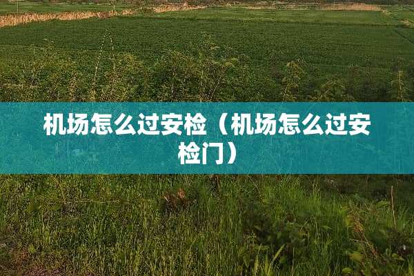 机场怎么过安检（机场怎么过安检门）