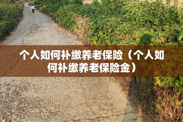 个人如何补缴养老保险（个人如何补缴养老保险金）